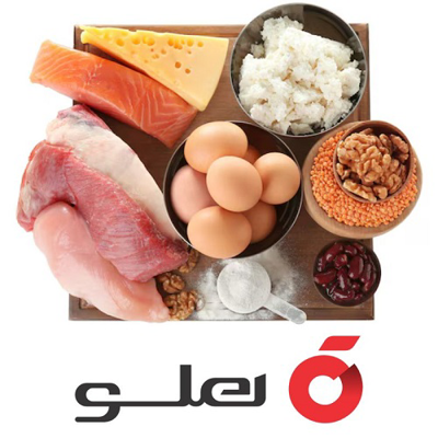 نرم افزار حسابداری فرآورده های پروتئینی هلو APEX